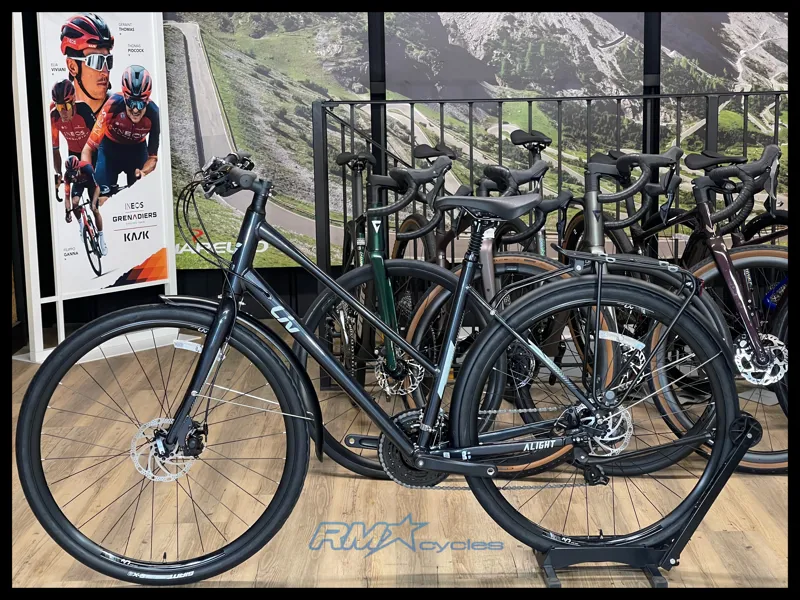 Liv Alight 3 City Disc Small Metallic Black 2022-1