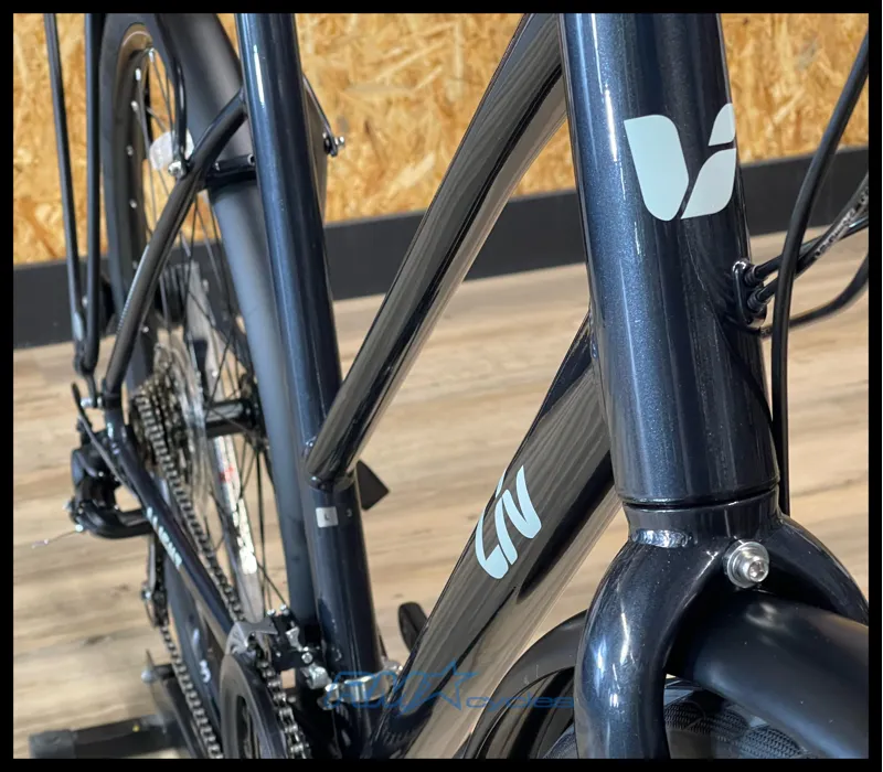 Liv Alight 3 City Disc Small Metallic Black 2022-2