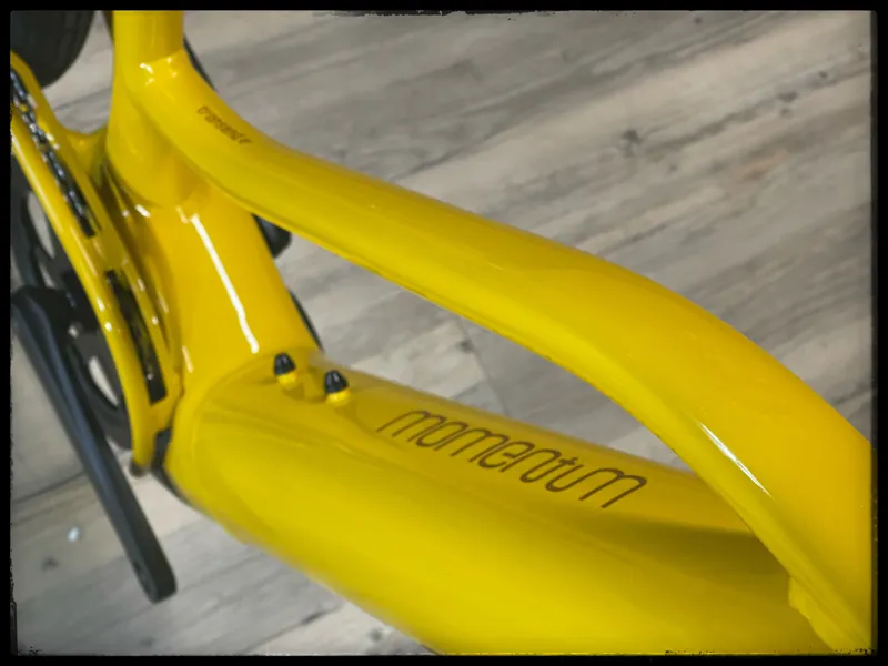 Momentum Transend E+ LDS 25km/h Small Bumblebee-3