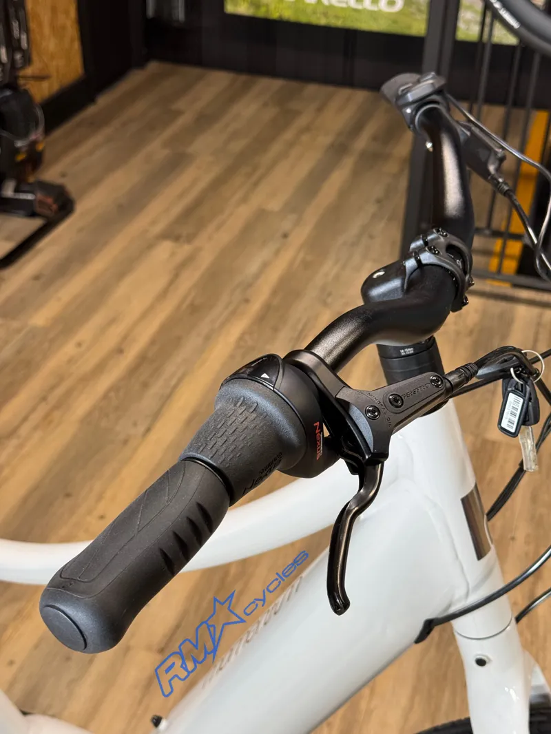 Momentum Vida E+ GTS 25km/h M Lunar -3