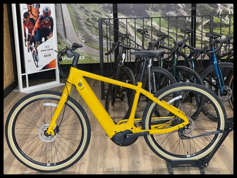 Momentum Transend E+ GTS 25km/h Medium Bumblebee 2022 -1