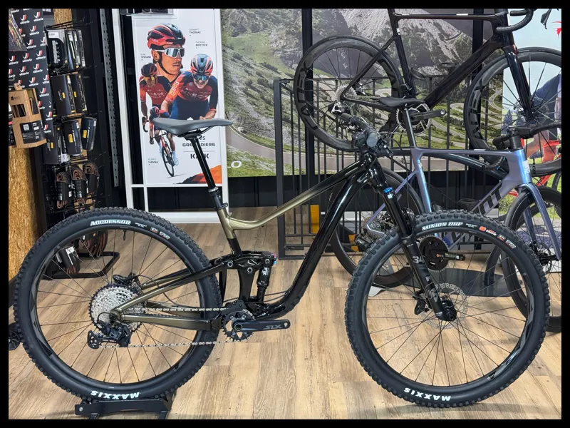 Giant Trance 29 1 Medium Panther/Pyrite Brown 2023