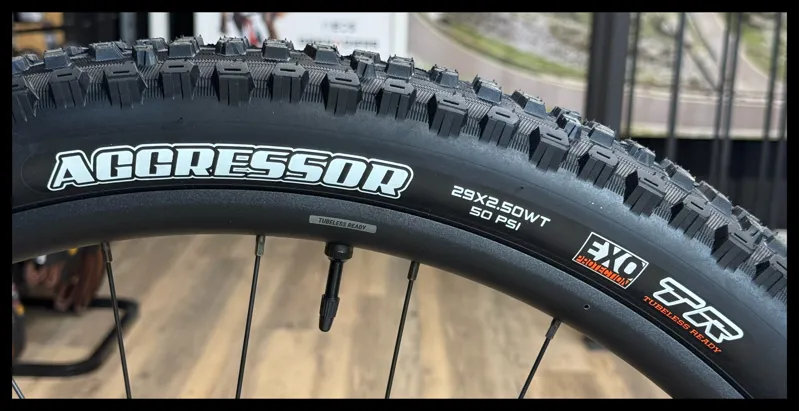 Giant Trance 29 1 Medium Panther/Pyrite Brown 2023-11