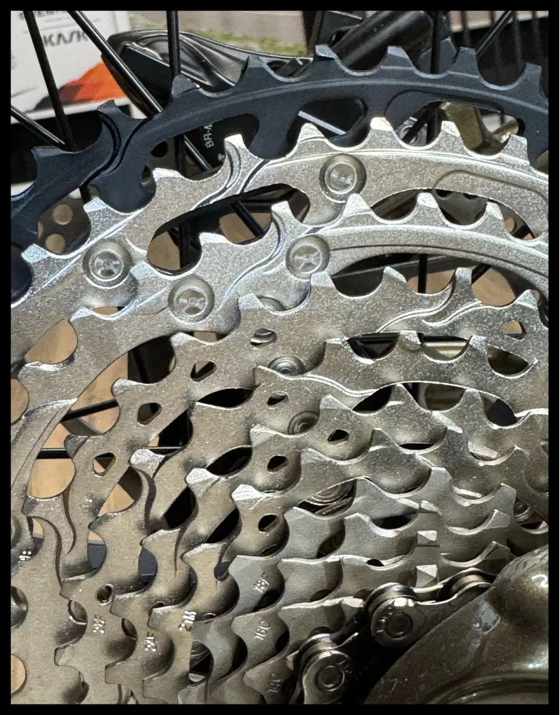 Giant Trance 29 1 Medium Panther/Pyrite Brown 2023-5