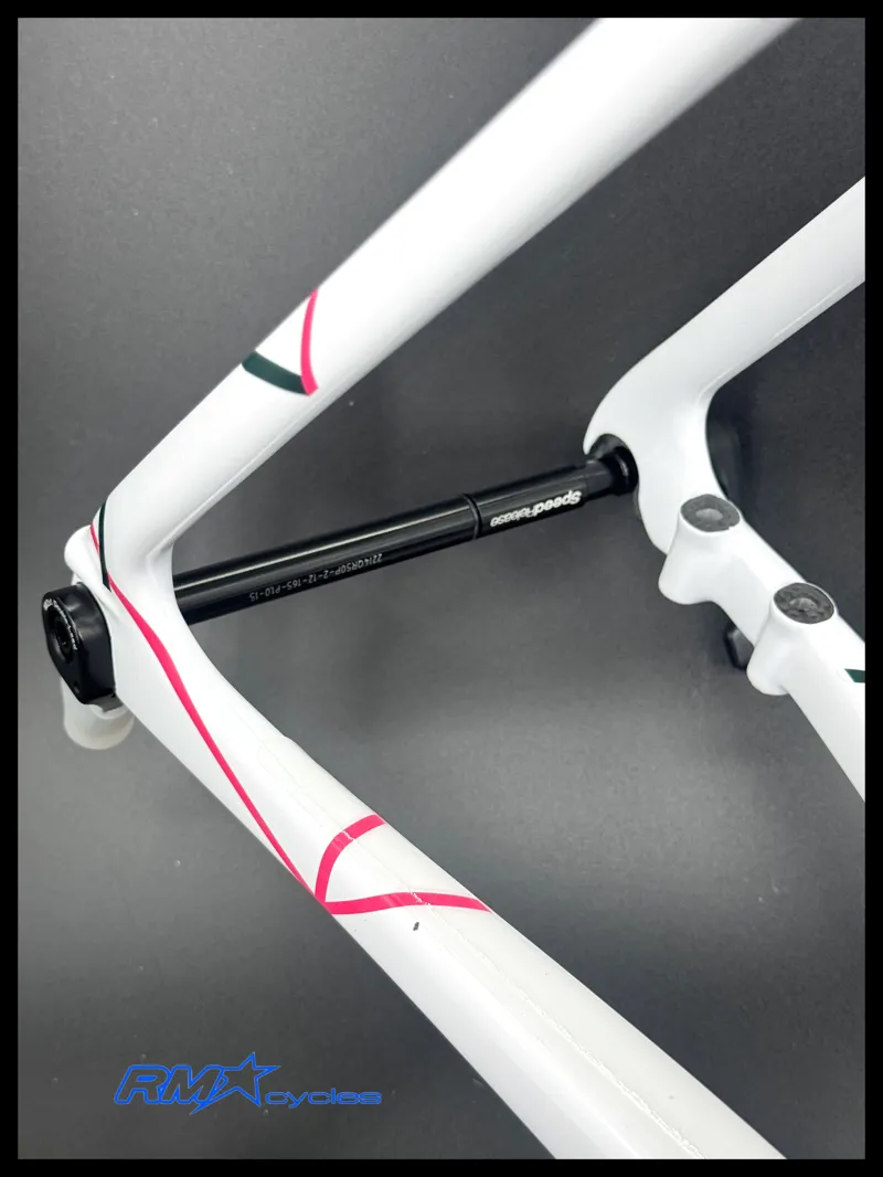 Cannondale Super6 EVO Hi-Mod Disc Frame Rapha 2023-5