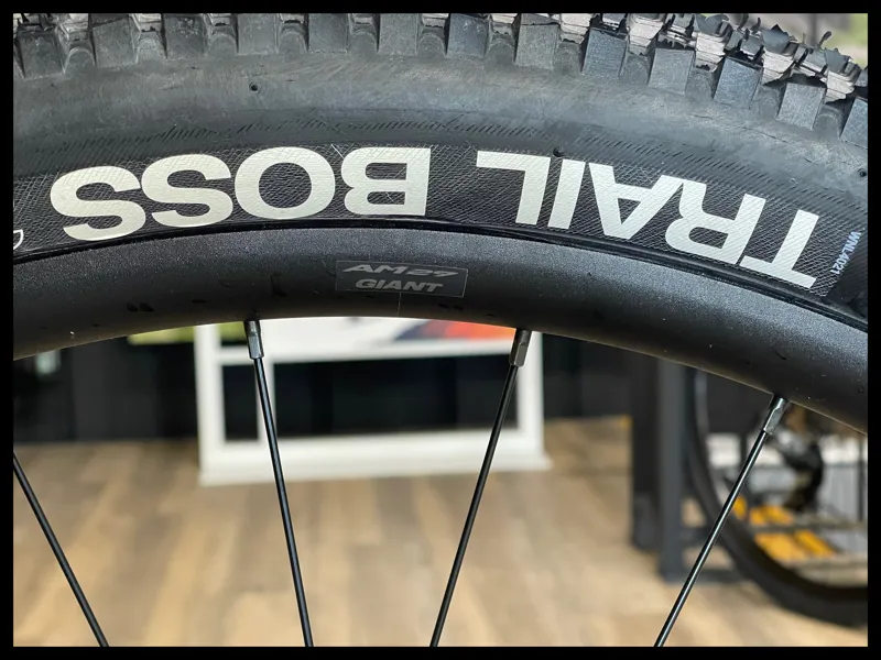 Cannondale Trail SE 1 29 Meteor Grey Large 2023 Ex-Demo-8