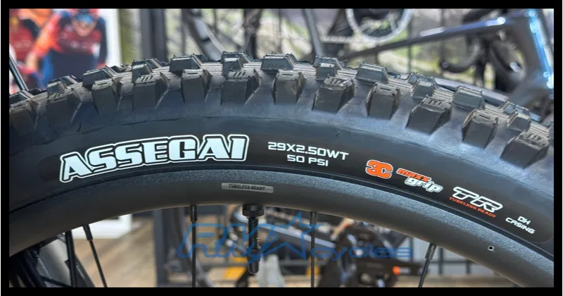 Giant Glory Advanced M/L Gloss Shoreline 2023-10