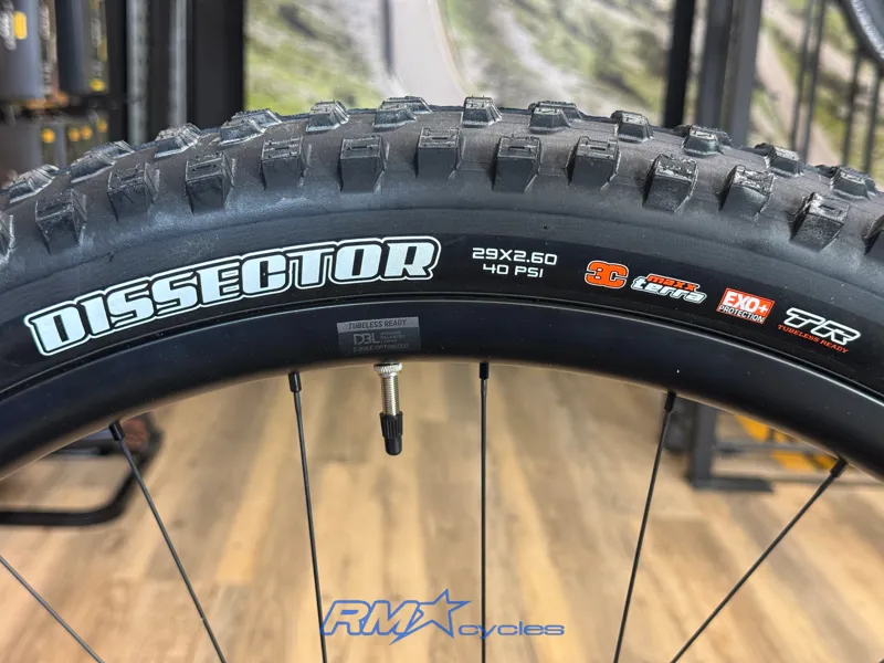 Giant Trance X Advanced E+ 1 eMTB Airglow XL-12