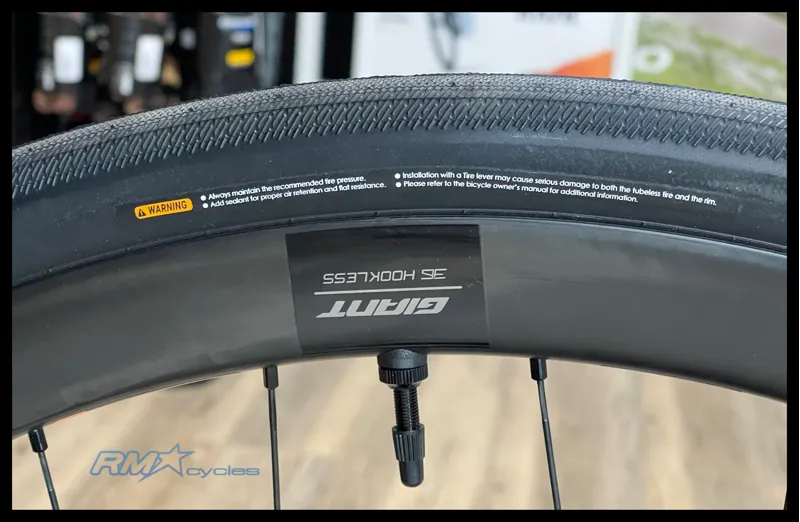 Liv Avail Advanced E+ Elite 1 Small Ice Age 2024-1