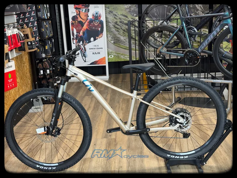 Liv Tempt 29 1 Small Sandshell 2024-1