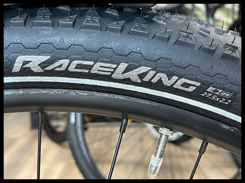 Cannondale Tesoro Neo X2 Small Mantis 2024-8