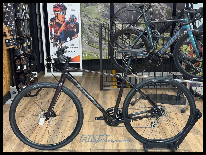 Giant  Escape 2 Disc Medium Rosewood 2024-1