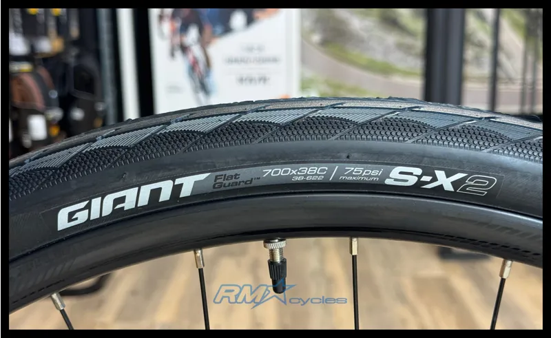 Giant  Escape 2 Disc Medium Rosewood 2024-9