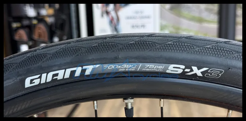 Giant Escape 3 Disc Medium Sandstorm 2024-9