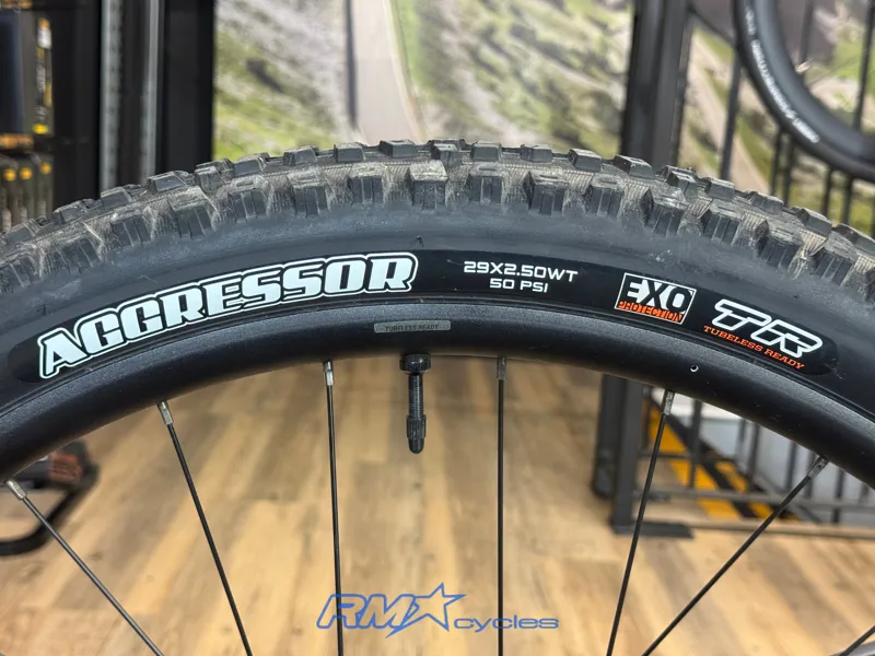 Giant Fathom 29 1 Large Gloss Back Approved Used-11