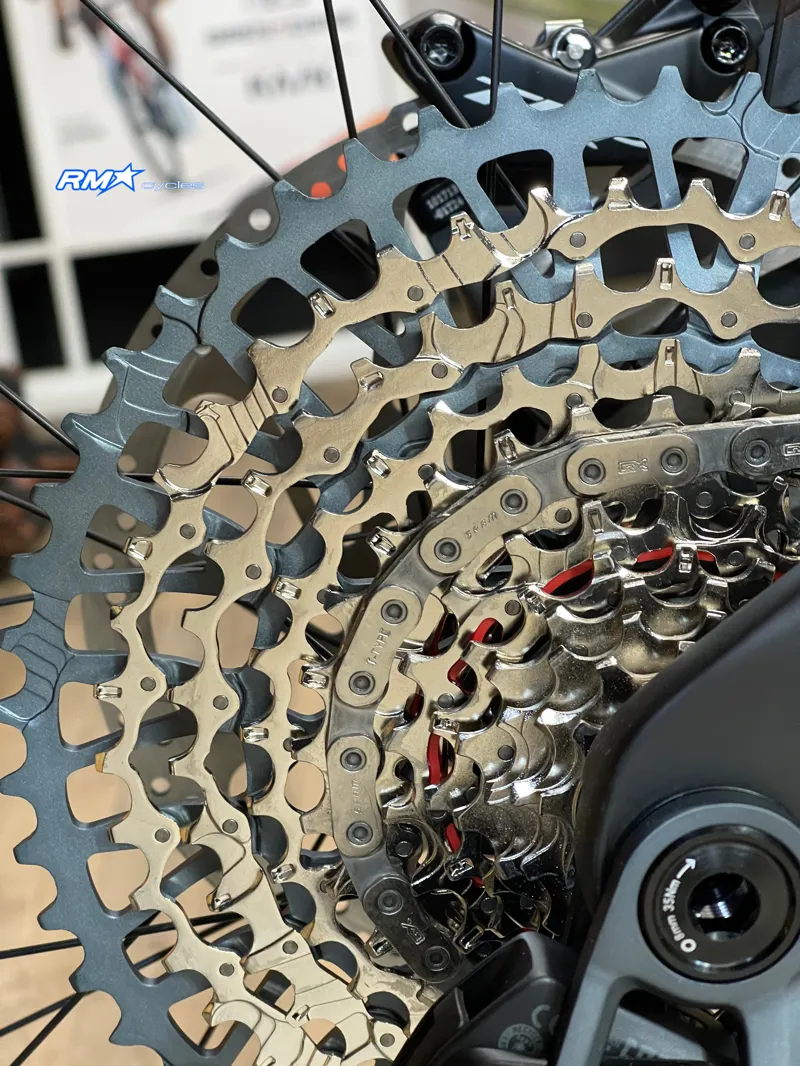 Giant Reign Advanced 1 Mullet Medium Mercury/Raw Carbon 2024-9