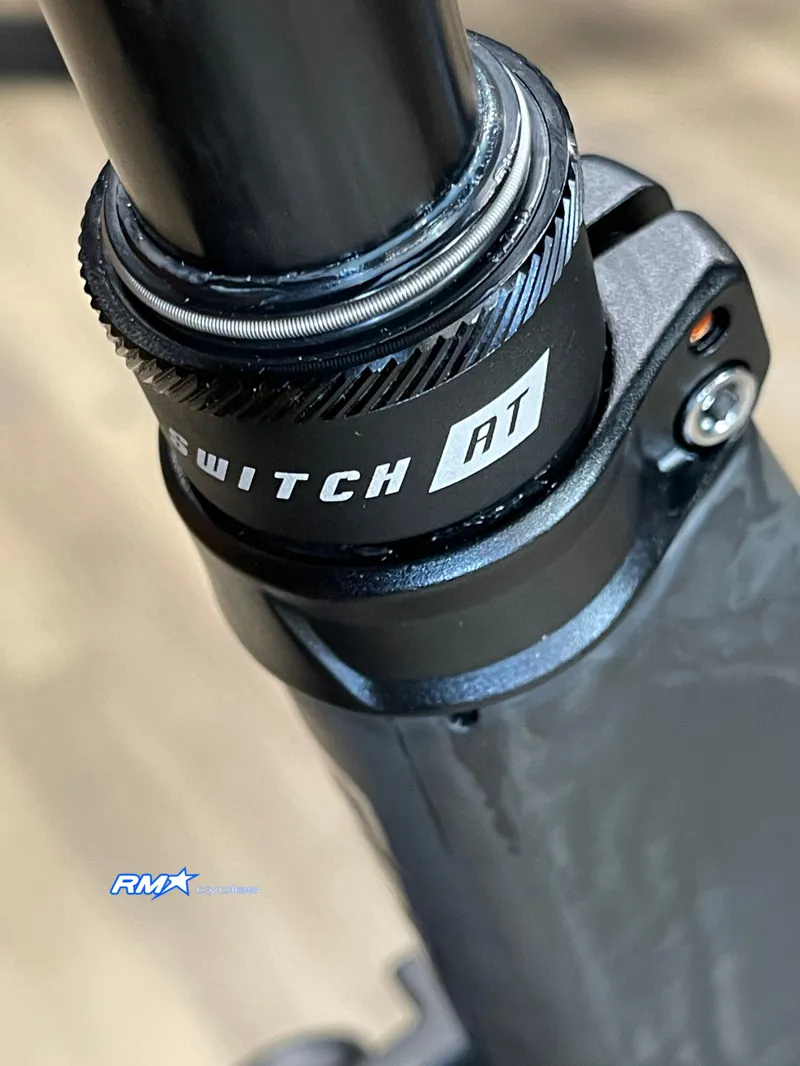 Giant Reign Advanced 1 Mullet Medium Mercury/Raw Carbon 2024-5