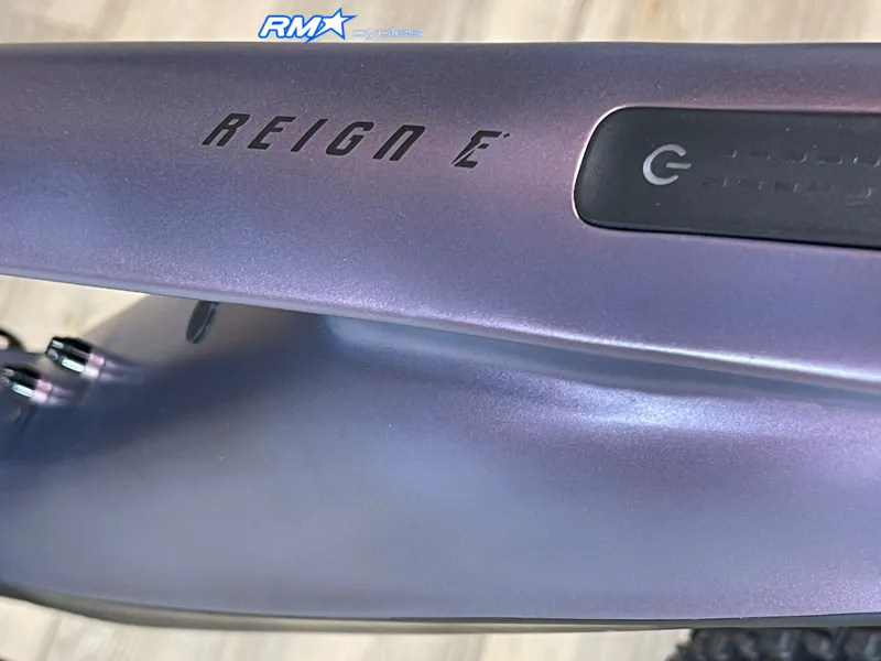 Giant Reign E+ 1 Mullet 25km/h Medium Mirage 2024-2