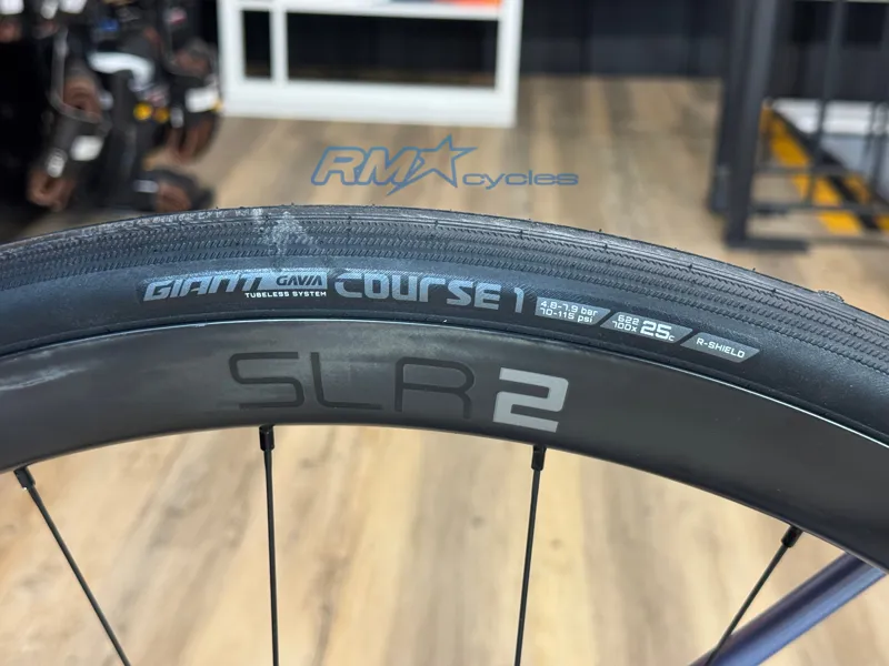 Giant TCR Advanced 0 AXS Large Frost Silver 2024-9