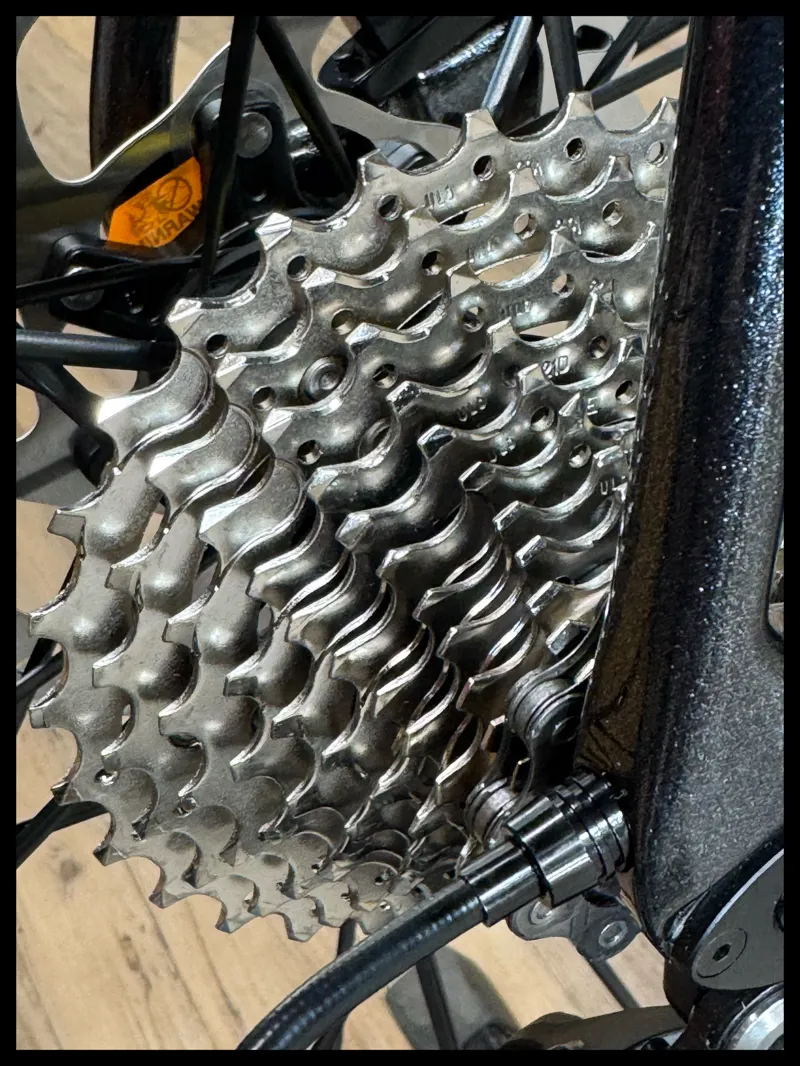 Giant TCR Advanced Pro 2 Disc Small Black Diamond 2024 Custom Build-4