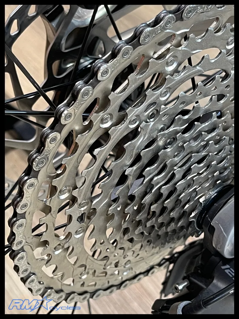 Giant Trance X SX Medium Golden Haze 2024 Ex-Display-2