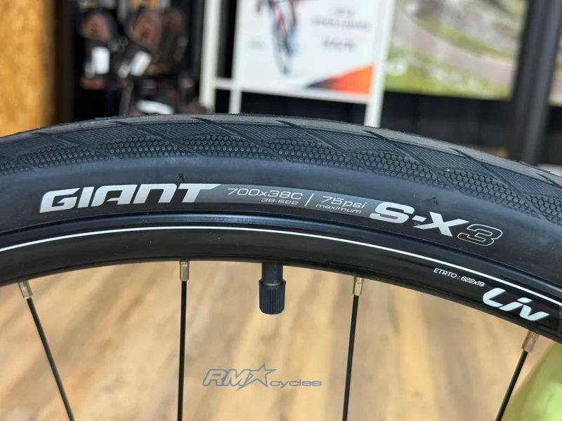 2024 Liv Alight 3 DD Womens Alloy Small Hybrid Bike in Green-8