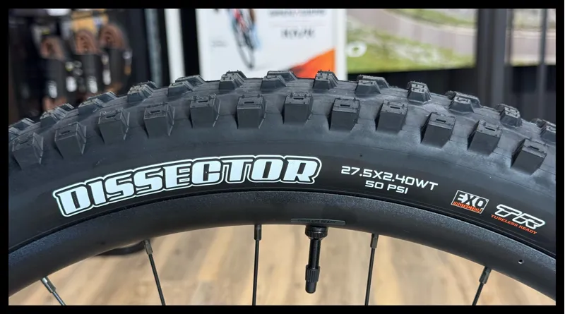 Liv Intrigue LT 1 MX Small Soap Suds 2023-12