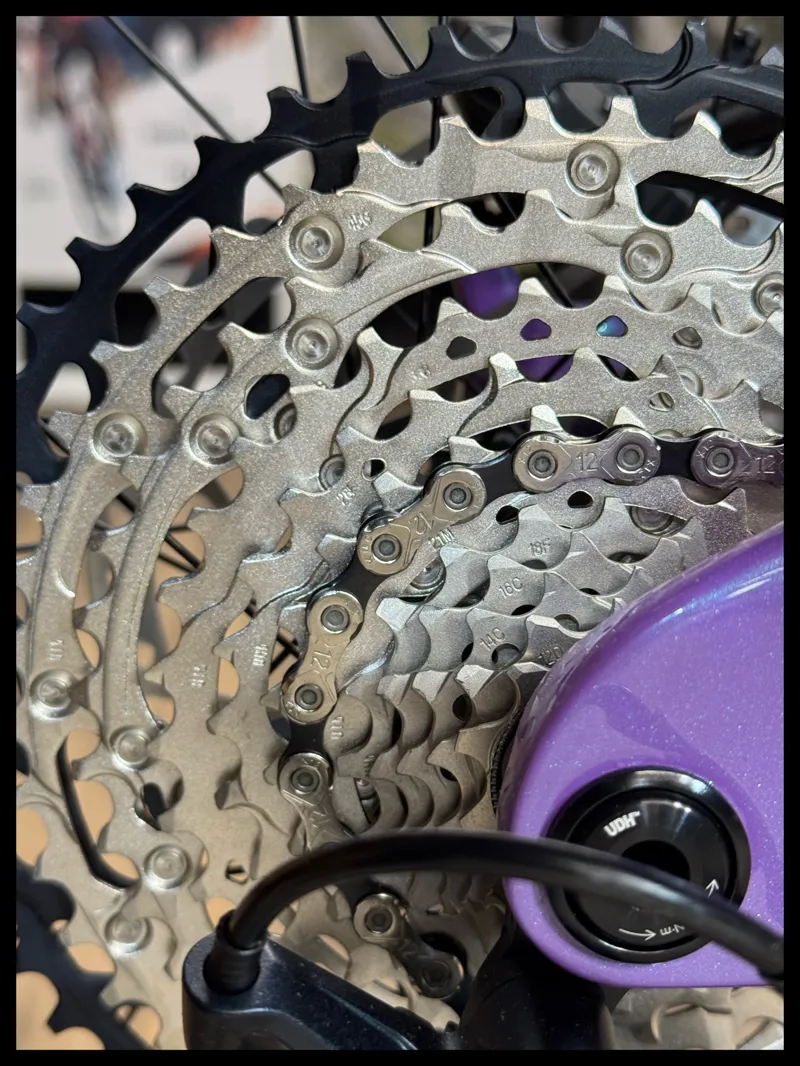 Liv Intrigue X Advanced 2 Small Digital Blurple 2024-5