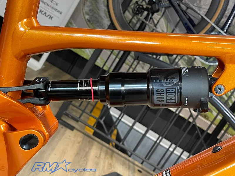 Cannondale Moterra 4 Neo Alloy Tiger Eye-6