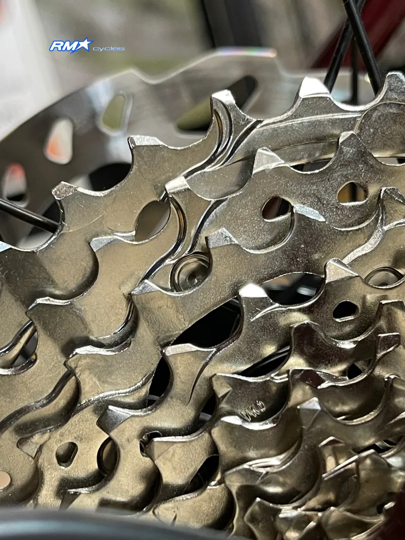 Giant Defy Advanced Pro 2 Carbon/Sangria Medium 2025-6