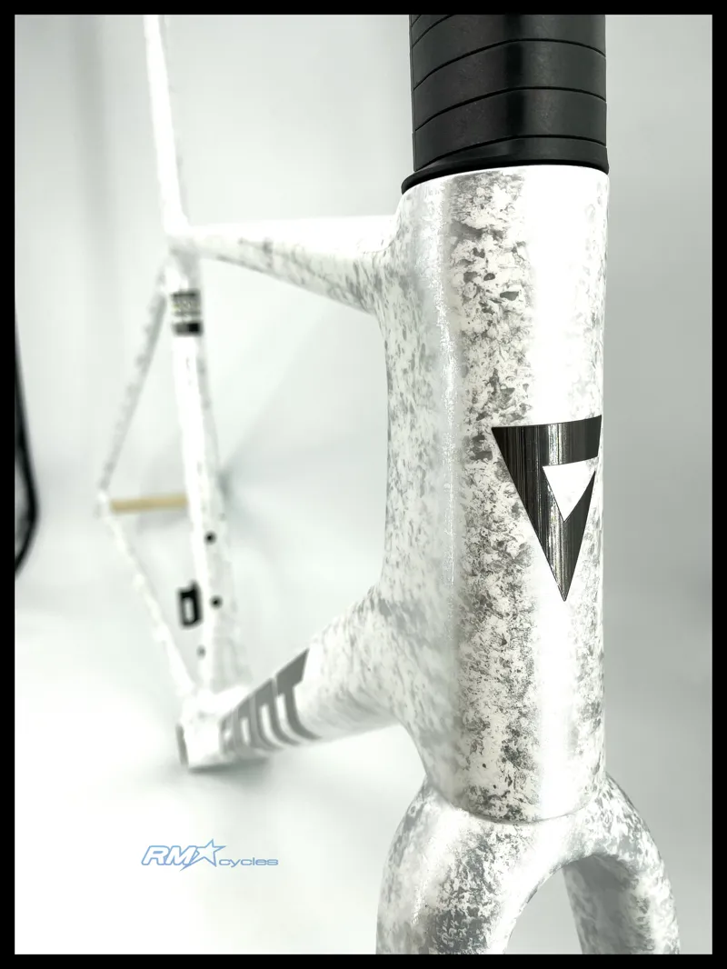 Giant TCR Advanced SL Frameset Opal 2025-1