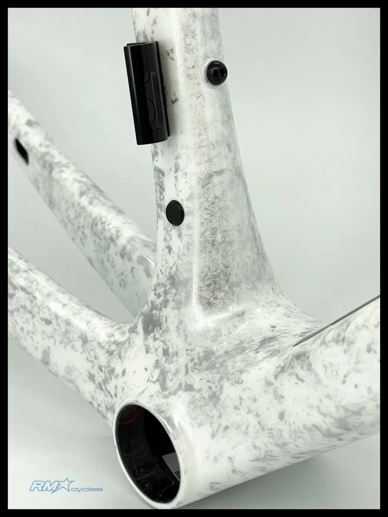 Giant TCR Advanced SL Frameset Opal 2025-4