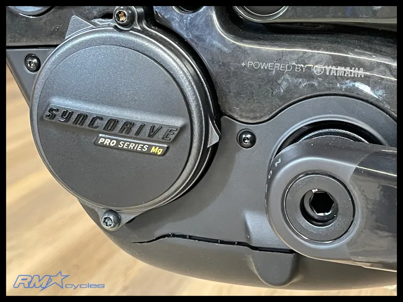 Liv Intrigue X Advanced E+ Elite 1 Small Raw Carbon 2025 Ex-Display-7