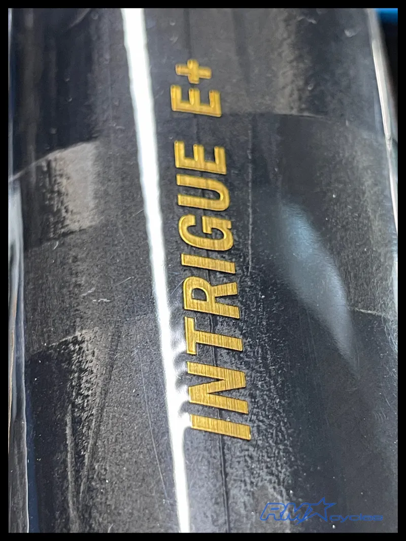 Liv Intrigue X Advanced E+ Elite 1 Small Raw Carbon 2025 Ex-Display-2