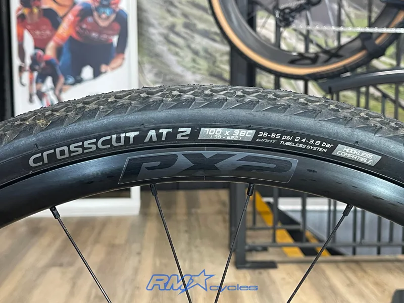 Liv Avail Advanced E+ Elite AR 25km/h Small Silver Pine Ex-demo-10