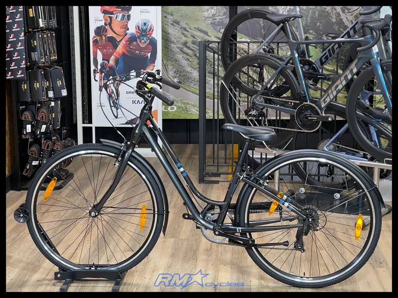 2021 Liv Flourish 3 Hybrid Bike in Black
