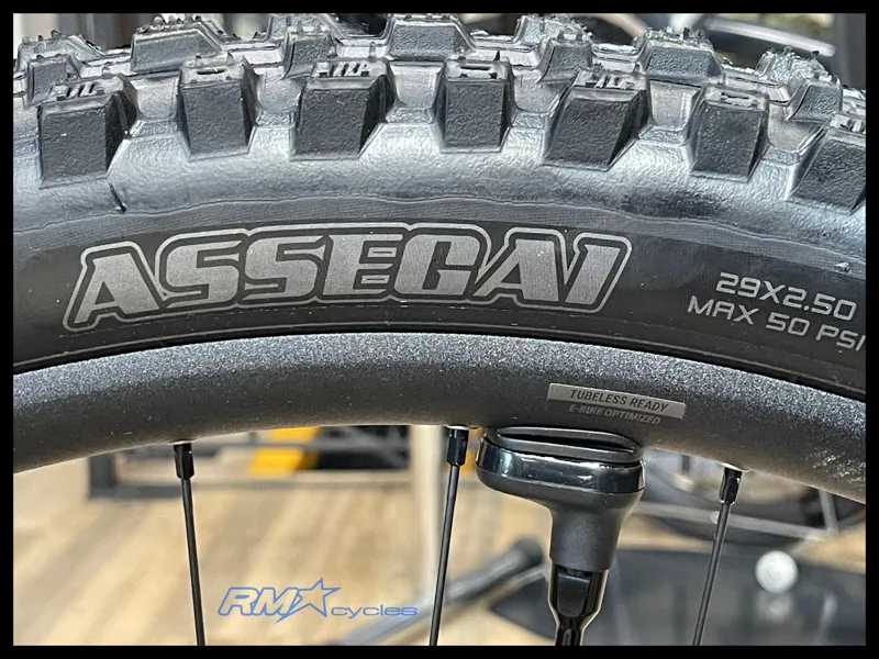 Giant Reign Advanced E+ 2 E-MTB in Moon Dust-13