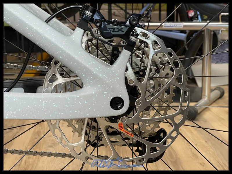 Giant Reign Advanced E+ 2 E-MTB in Moon Dust-12