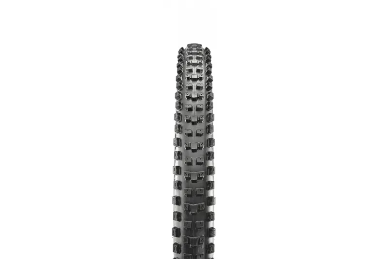 Maxxis Dissector 2 Tyre in Black-1