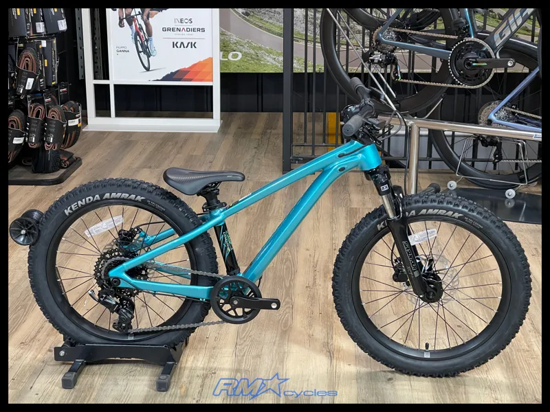 STP 20 FS-Giant One Size Teal oso