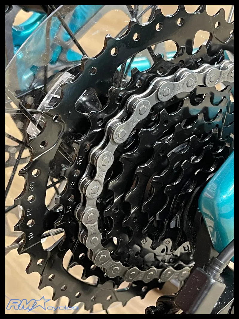 STP 20 FS-Giant One Size Teal oso-2