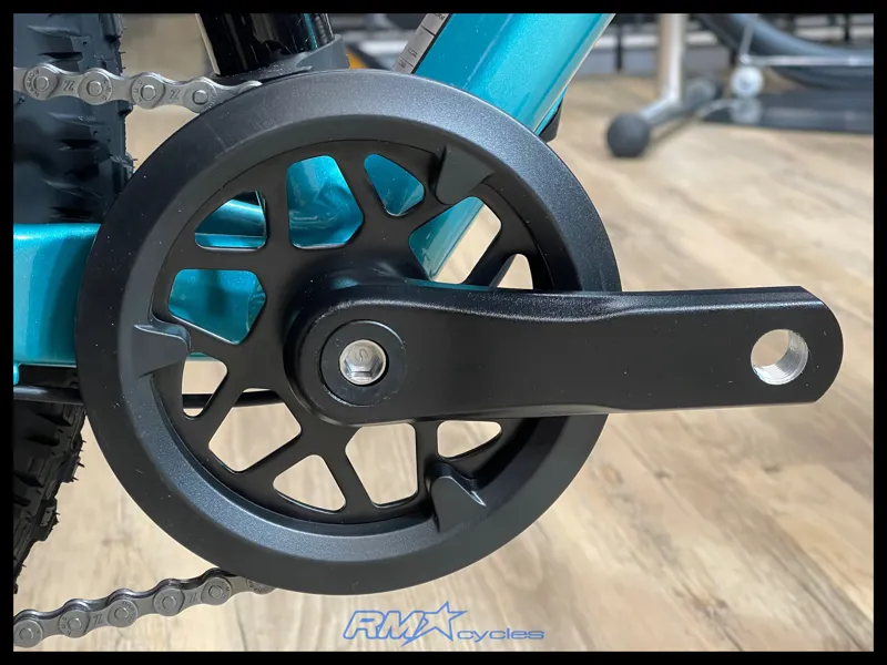 STP 20 FS-Giant One Size Teal oso-4