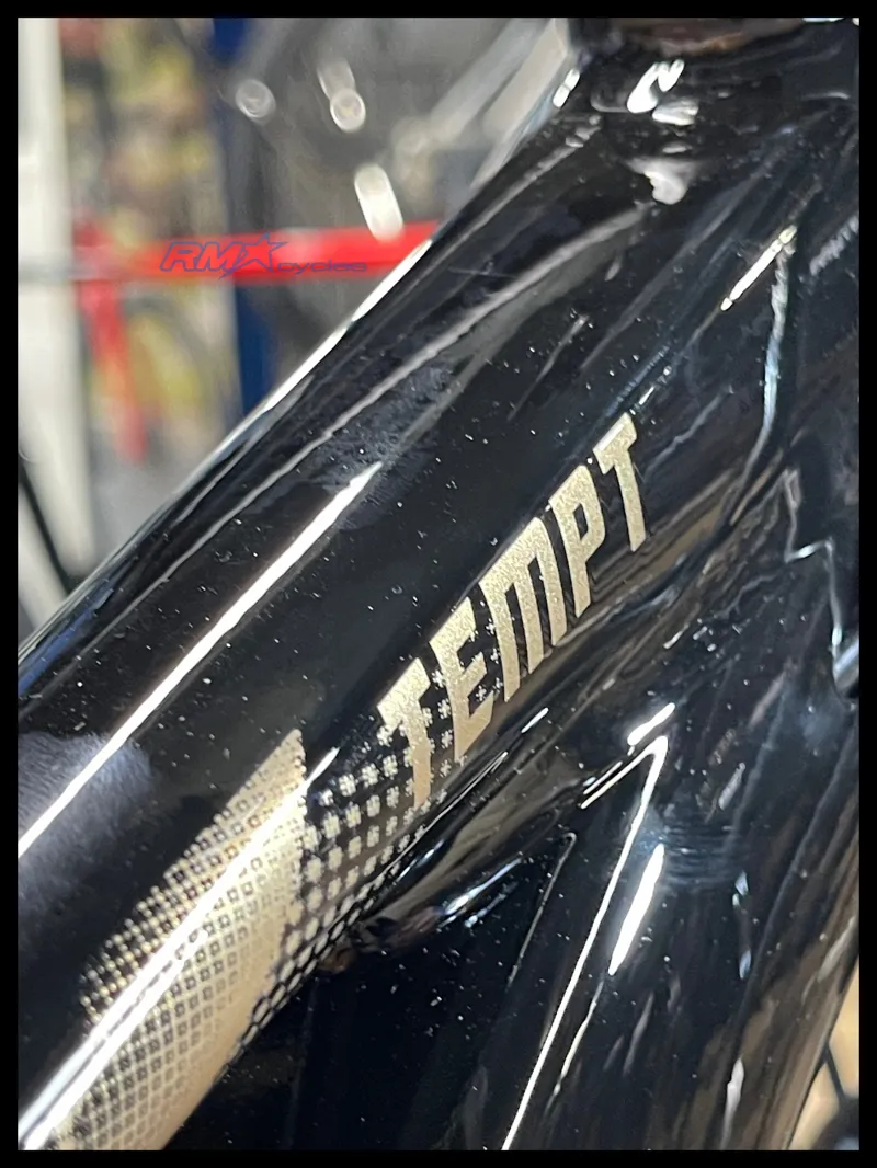 Liv Tempt 4 29 Mountain Bike In Black-1