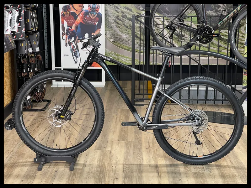 Cannondale Trail SE 4 29 Grey Medium 2022 Approved Used-1