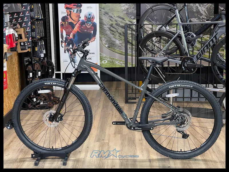 Cannondale Trail 6 29 Grey Large 2022-1