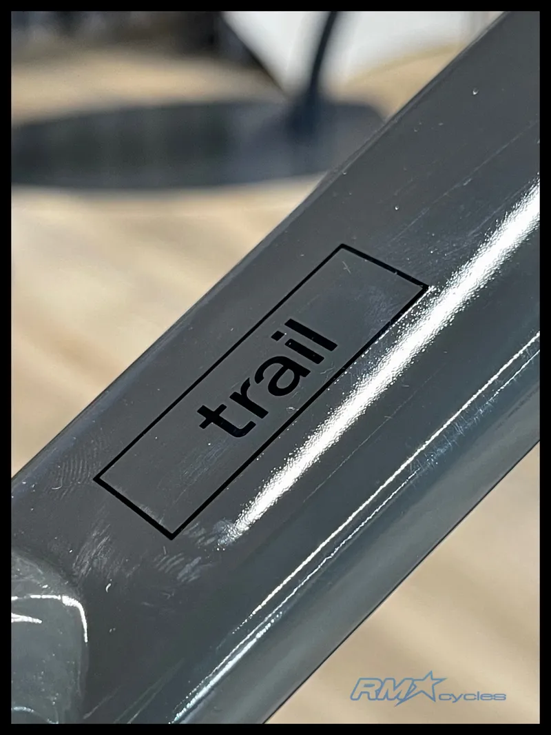 Cannondale Trail 6 29 Grey Large 2022-5