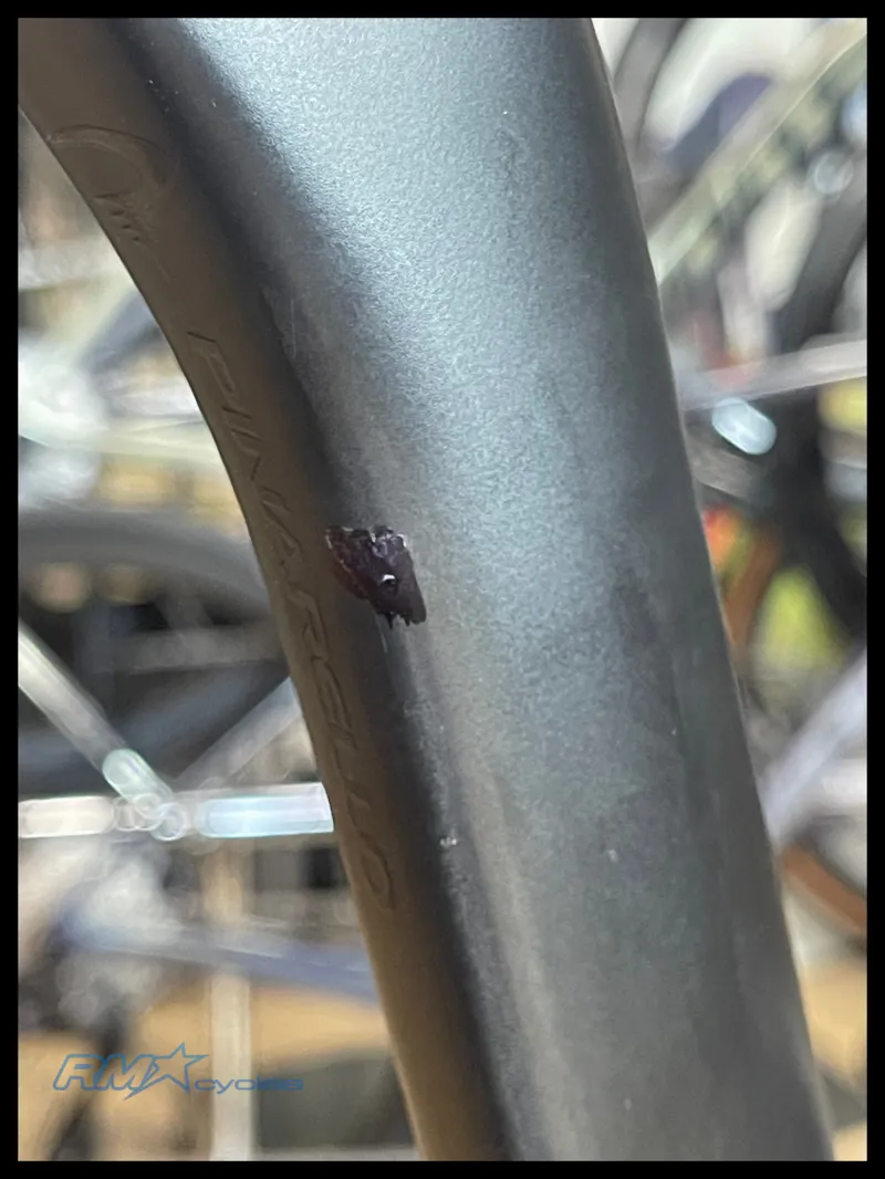 Pinarello Gan K Disc Black on Black 47cm 2020 Approved Used-9