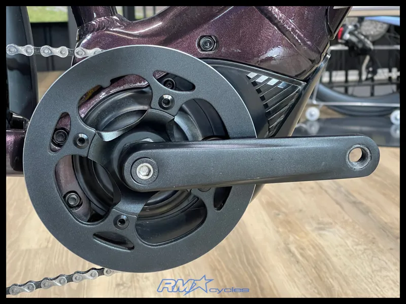 Liv Amiti E+ 2 Rosewood X-Small 2021 Approved Used-6