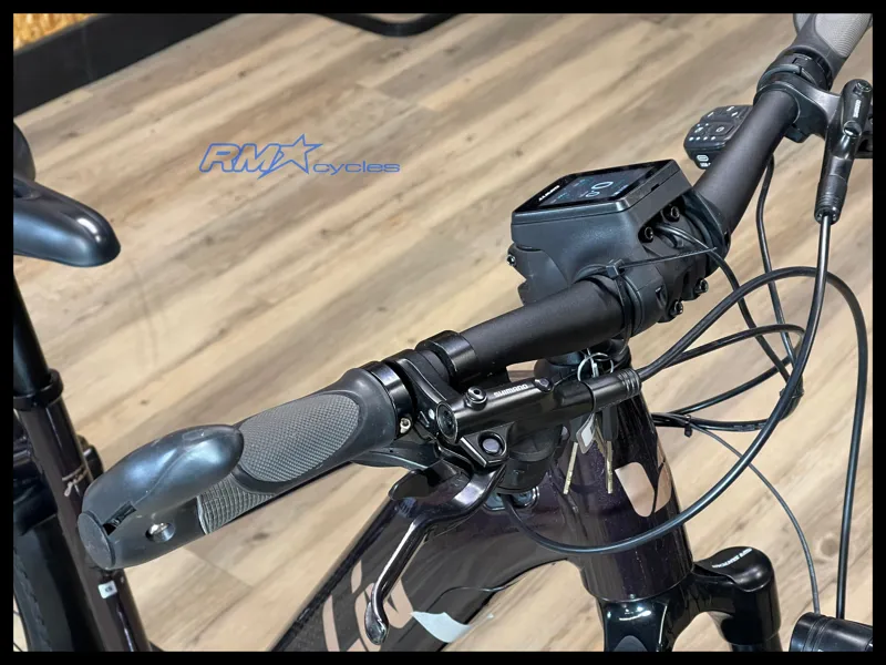 Liv Amiti E+ 2 Rosewood X-Small 2021 Approved Used-7