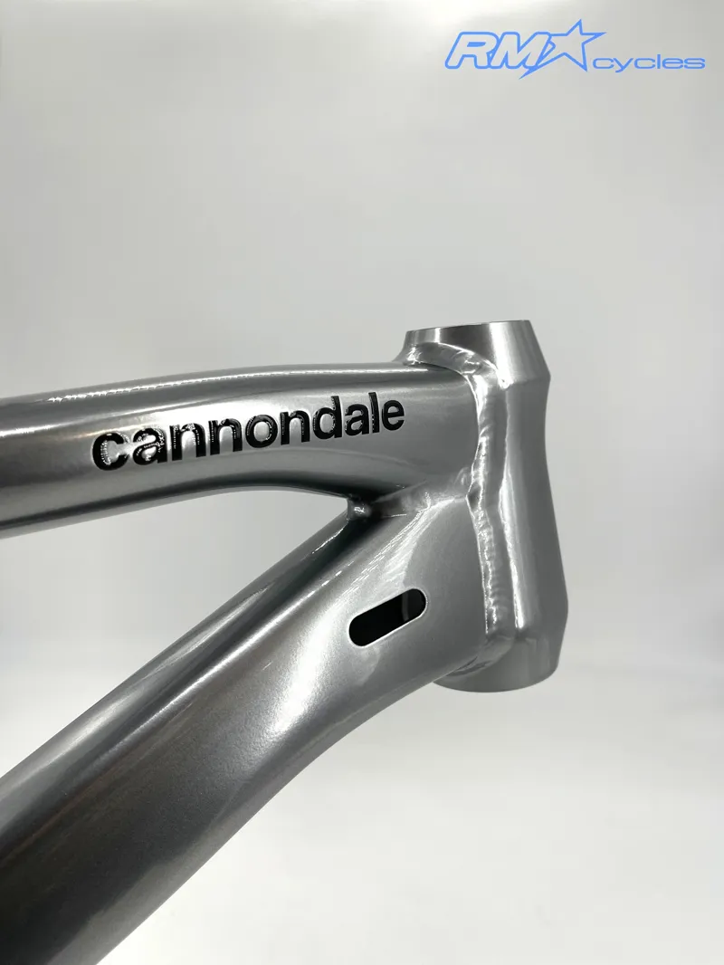 Cannondale Habit 29 AL Frame 2024 Mercury-7